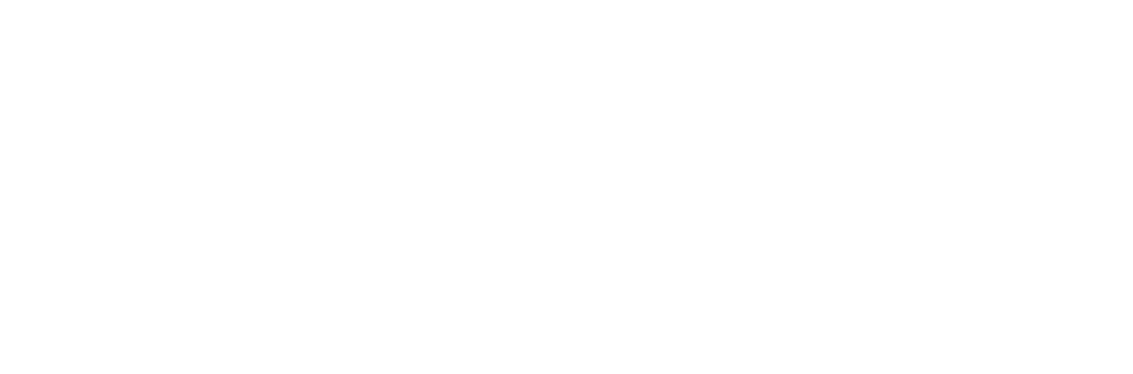 Divine Connectino Logo White